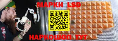 ГАЛЛЮЦИНОГЕННЫЕ ГРИБЫ Сланцы