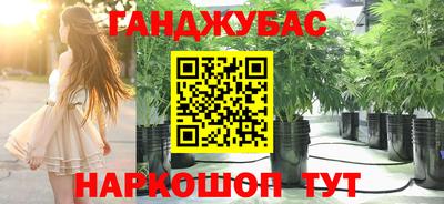ГАЛЛЮЦИНОГЕННЫЕ ГРИБЫ Сланцы