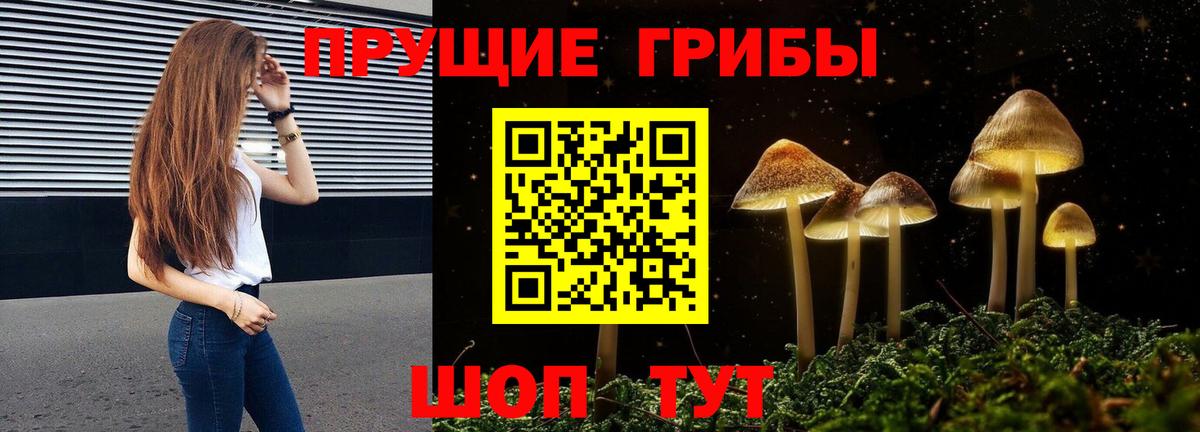 Галлюциногенные грибы Magic Shrooms Осинники