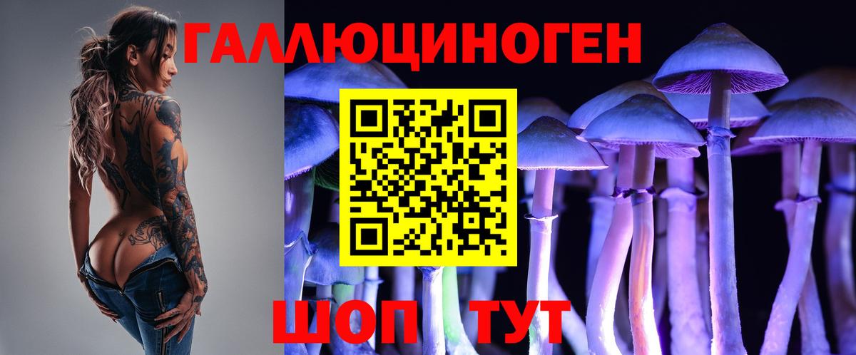 Галлюциногенные грибы MAGIC MUSHROOMS  Псилоцибиновые грибы Magic Shrooms  Вход с VPN  Осинники 